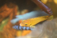 /album/fotogaljerjeja/vid-sverkhu-jpg/